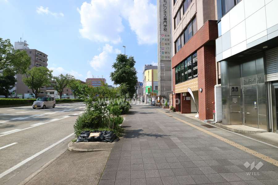 敷地の西側前面道路（南側から）