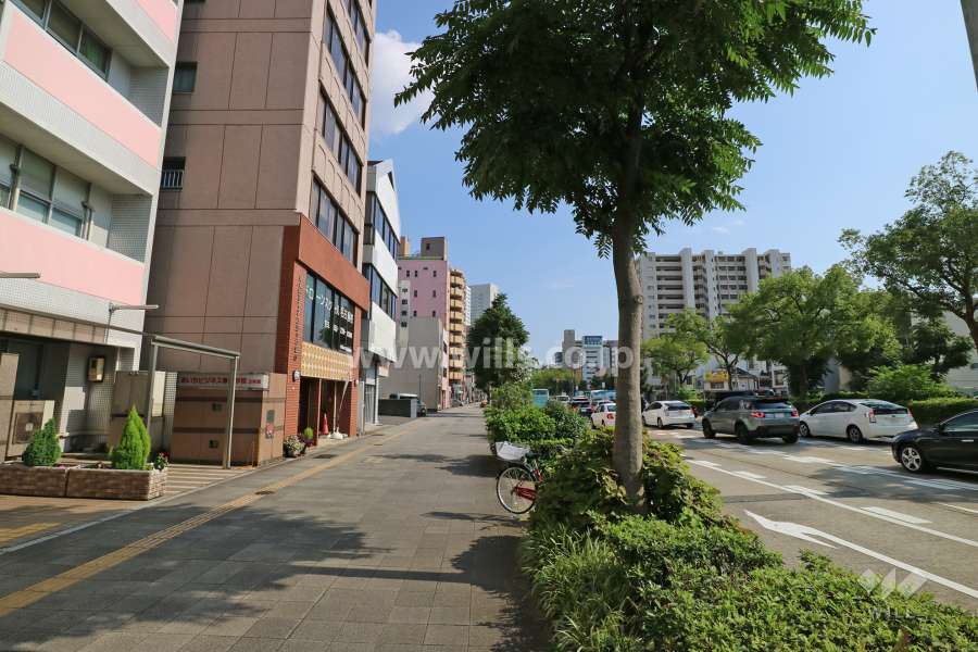 敷地の西側前面道路（北側から）