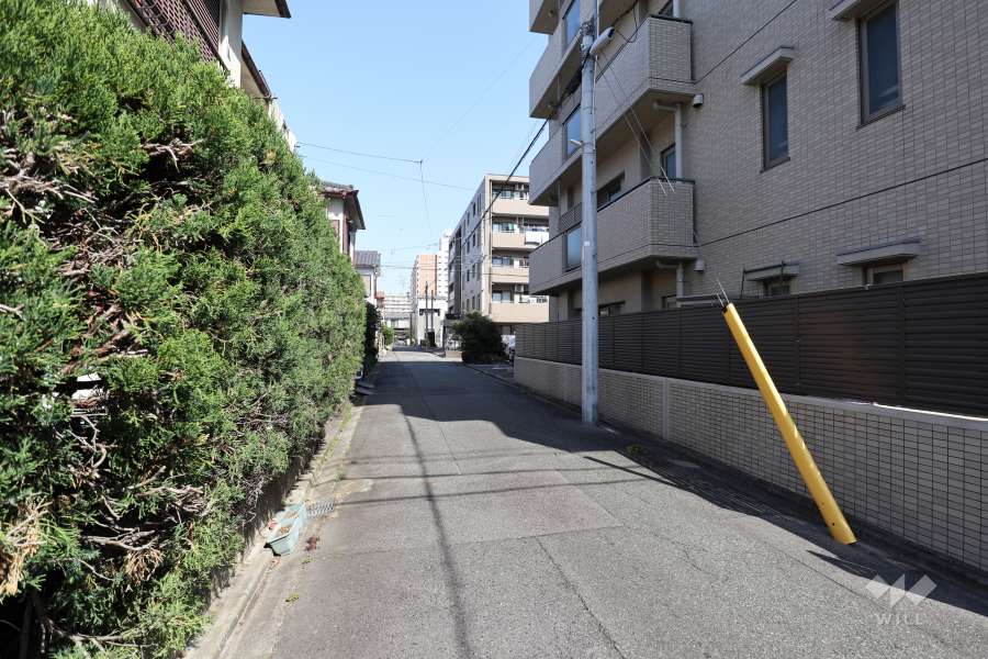 敷地西側の前面道路（南側から）