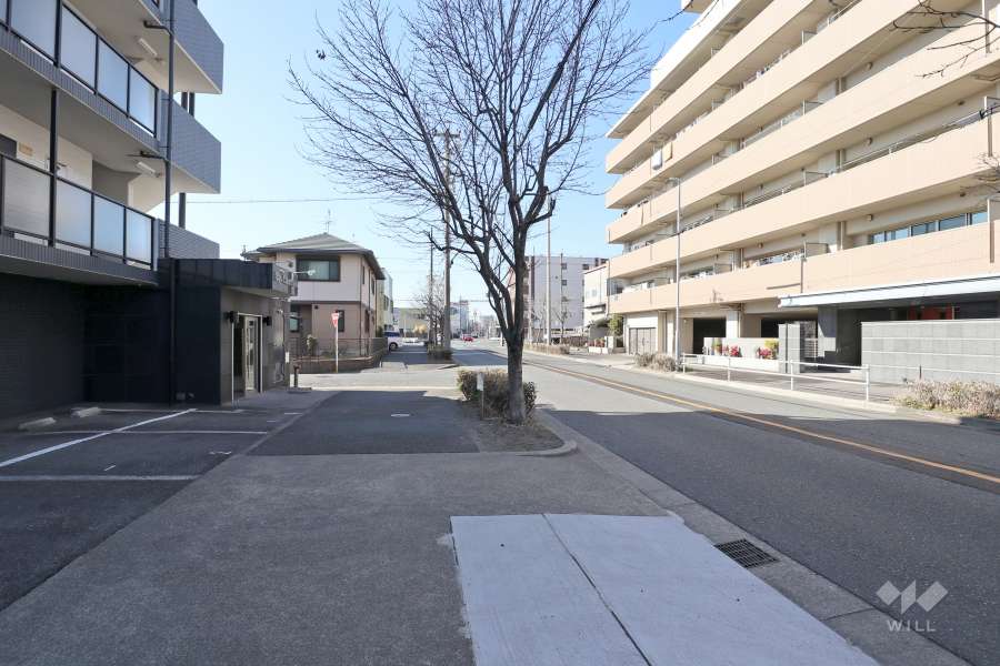 敷地南側の前面道路（東側から）