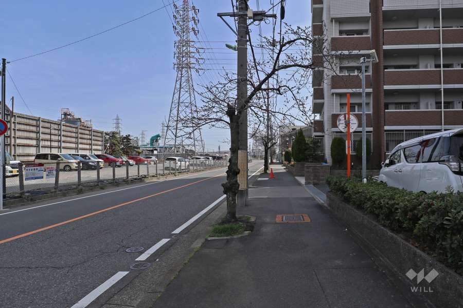 敷地東側の前面道路（北側から）