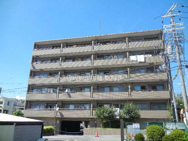 コスモ緑地公園の外観（南側から）