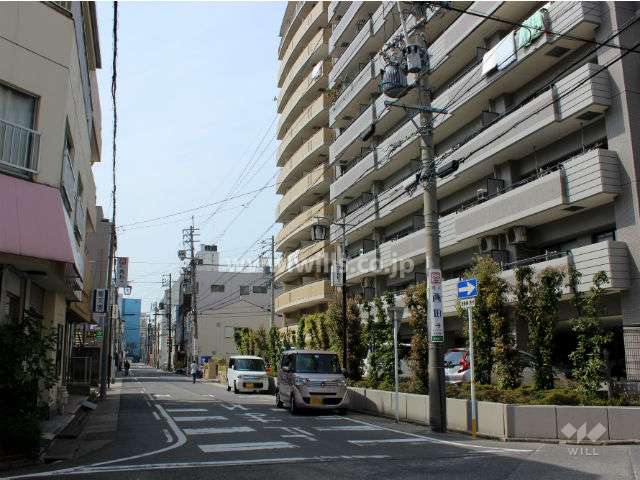 敷地南側の前面道路。一車線の静かな通りです。