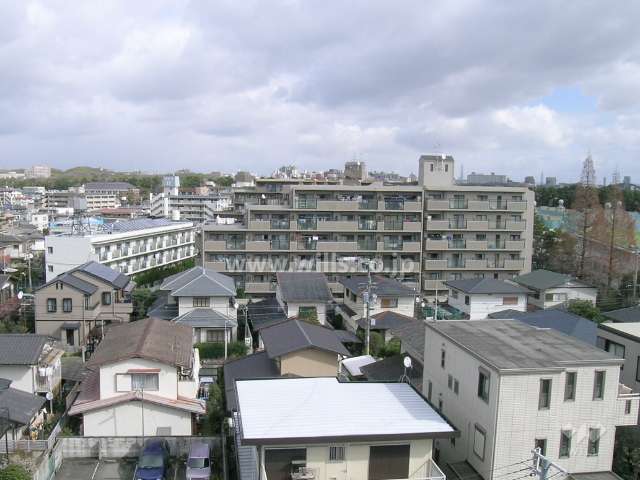 敷地の南側には木々に囲まれた歩道があります。