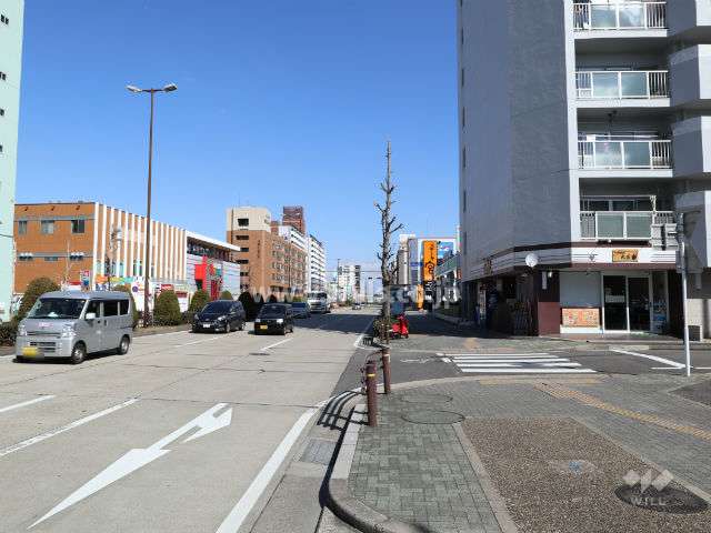 敷地西側前面道路