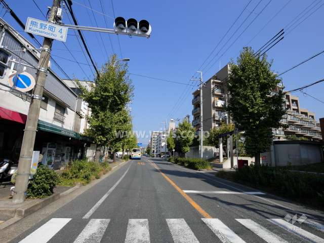 敷地西側は街路樹が並ぶ通りです。