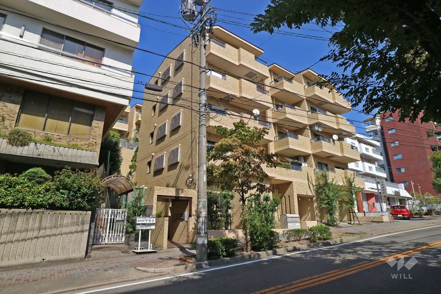 グランドメゾン猫ヶ洞の外観（南西側から）
