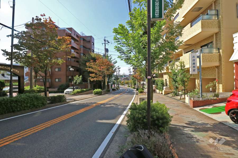 敷地南側の前面道路
