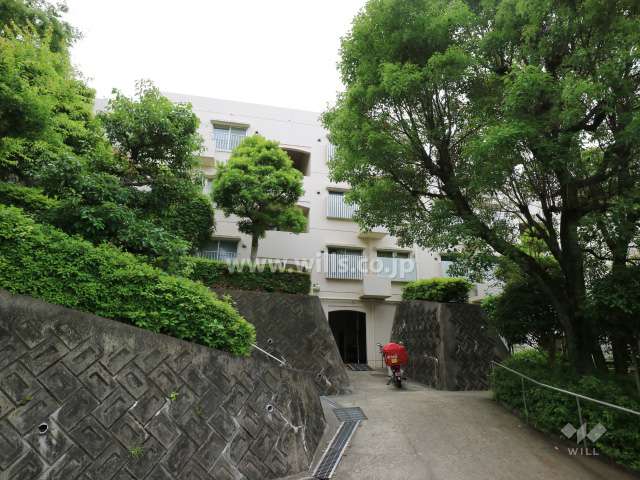 エントランスアプローチ
