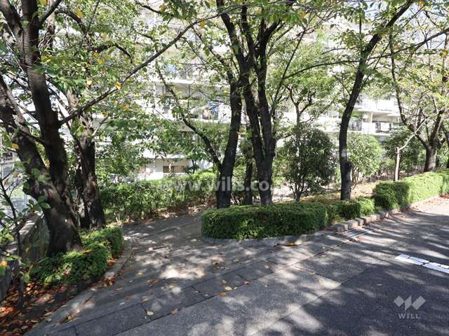 敷地内は緑がたくさんあります。