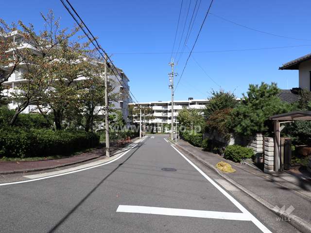 敷地の東側前面道路（南側から）