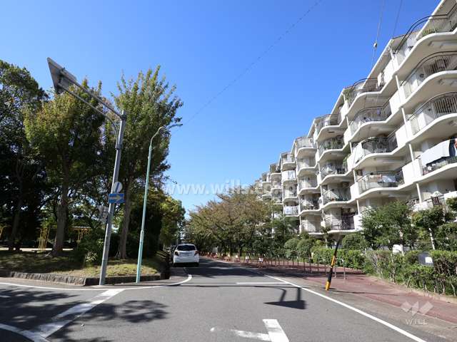 敷地の南東側前面道路（北東側から）