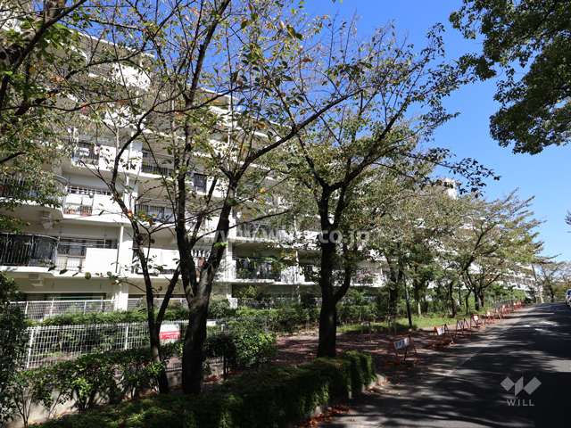 茶屋ヶ坂公園ハイツＢ棟の外観（南西側から）