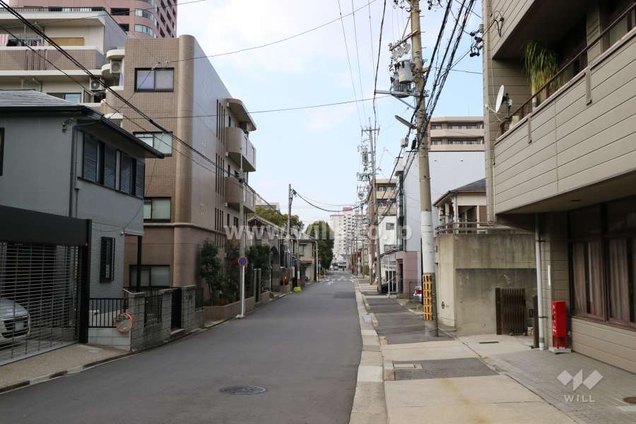 敷地東側の前面道路