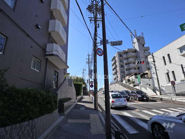 敷地の西側前面道路（北側から）