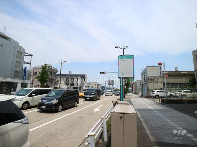 敷地の西側前面道路（南側から）