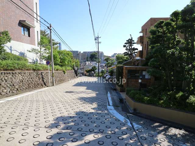 敷地の東側前面道路（北側から）