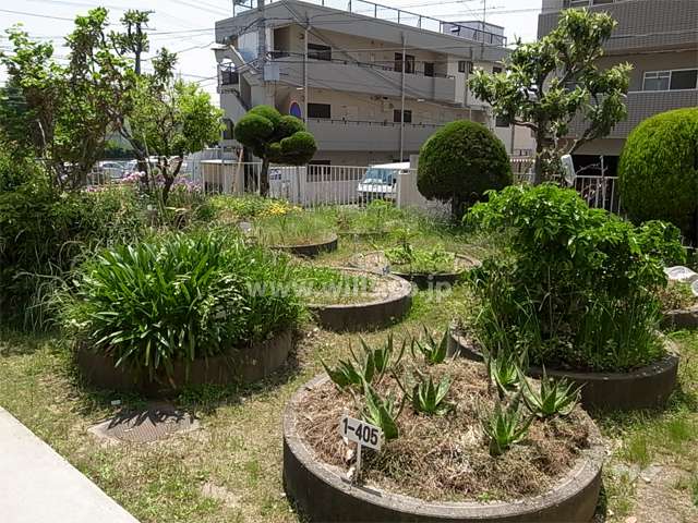 敷地東部分に設けられた花壇スペース