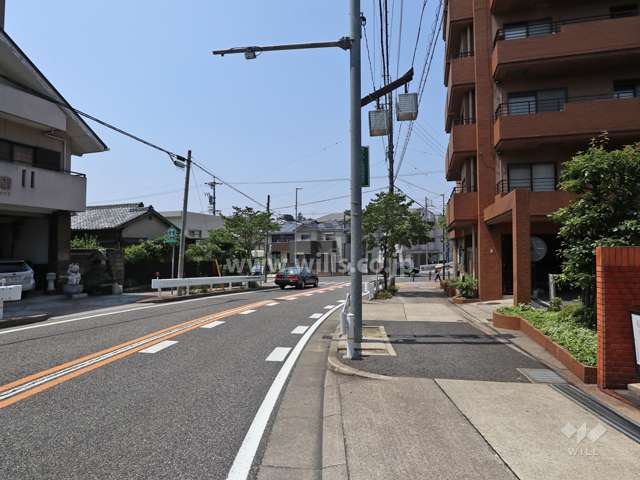 敷地の西側前面道路（南側から）