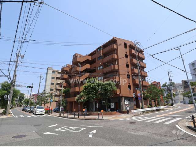 三旺マンション第二猫洞の遠景（北西側から）