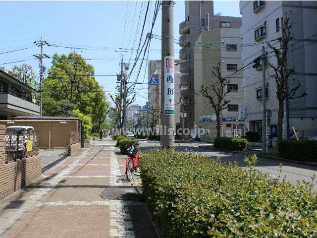 敷地南側の前面道路。車通りの多い通りです。