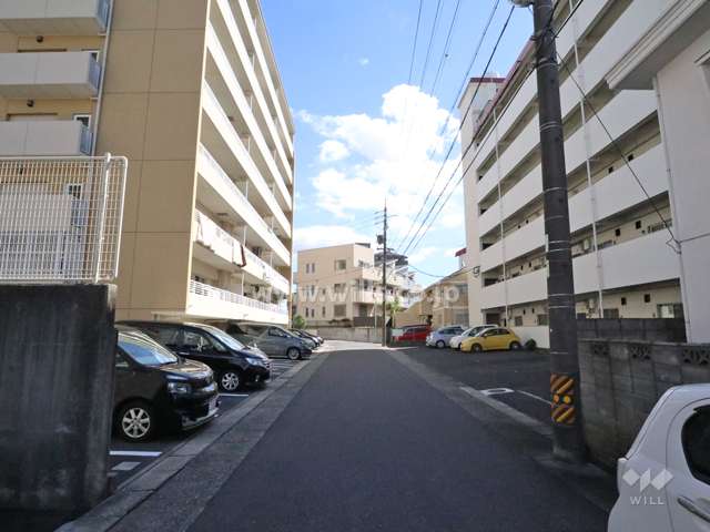敷地南側の前面道路（西側から）