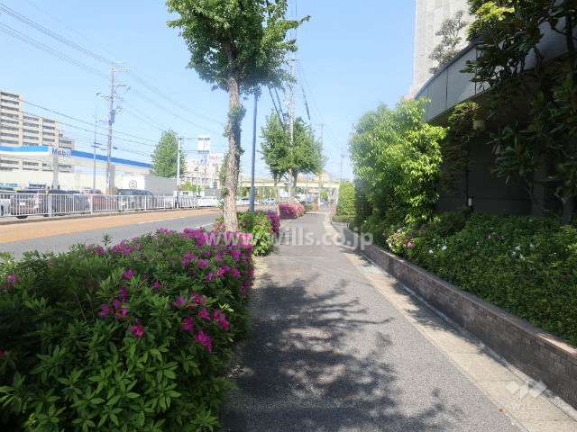 敷地北西側の前面道路