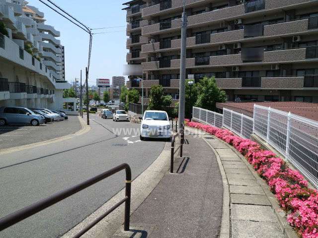 敷地南側の前面道路