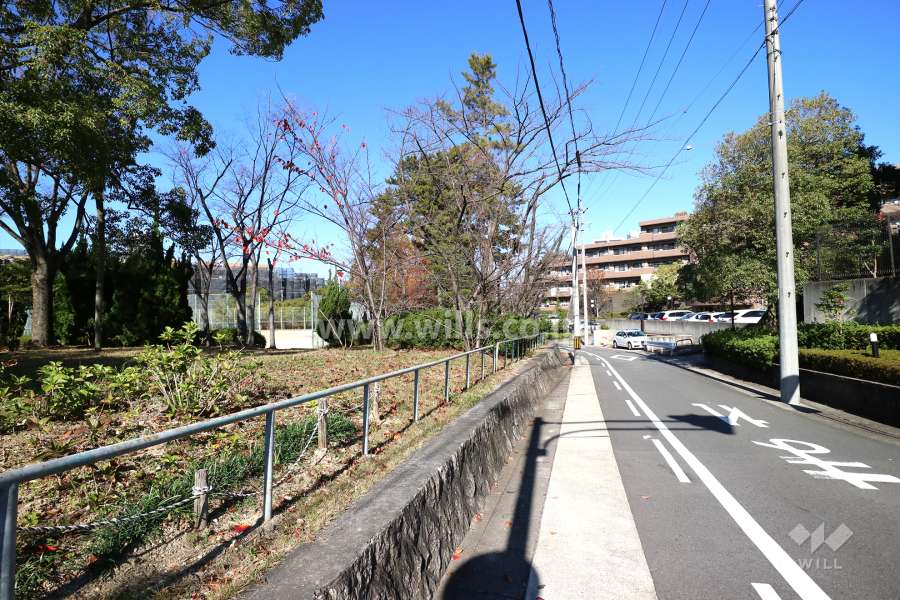敷地南西側の前面道路２（写真左手に揚羽公園があります）