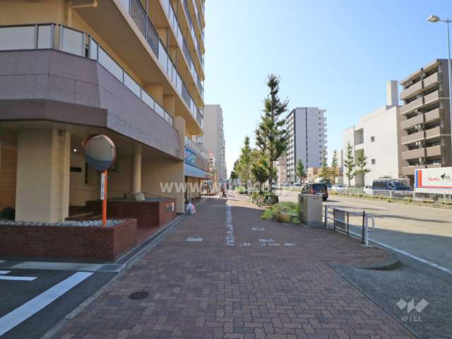 敷地西側の歩道