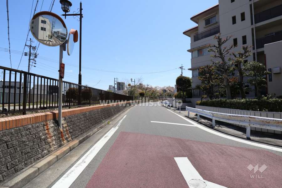 敷地の東側前面道路（北側から）