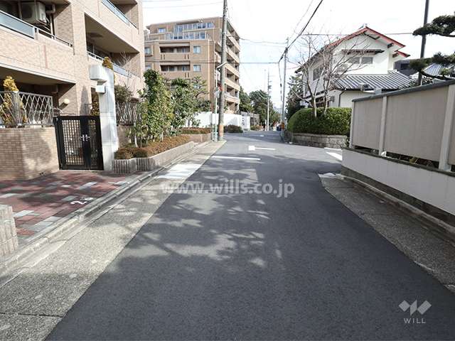 敷地南側の前面道路(西側から)