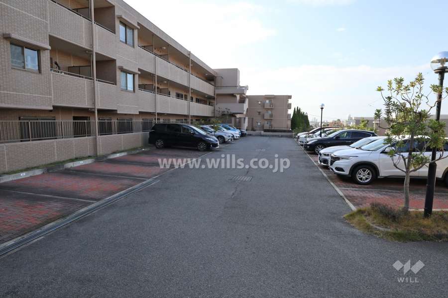 敷地内駐車場（屋外平面式）