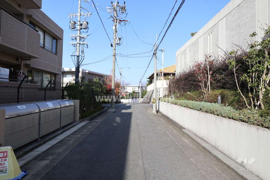 敷地東側の前面道路（南側から）