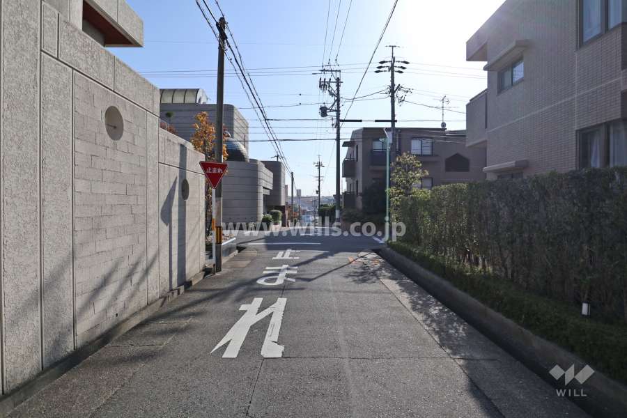 敷地東側の前面道路（北側から）