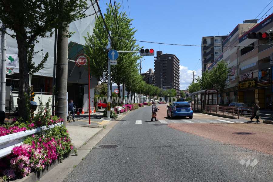 敷地南側の前面道路（西側から）