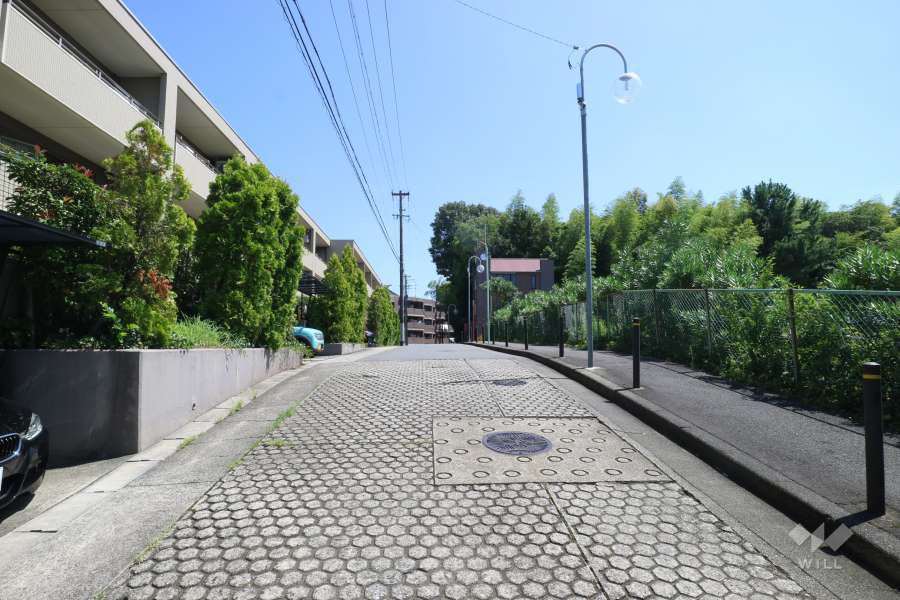 敷地南側の前面道路