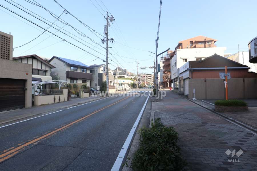 敷地北側の前面道路（西側から）