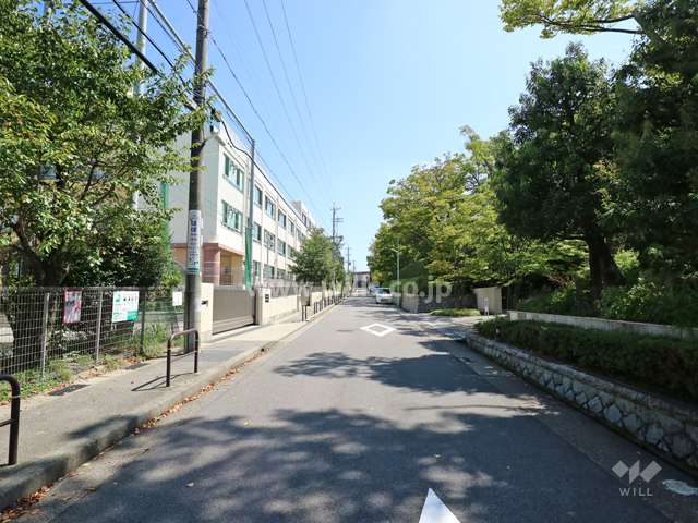 敷地北側の前面道路-（西側から）