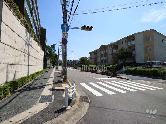 敷地の南側前面道路（西側から）