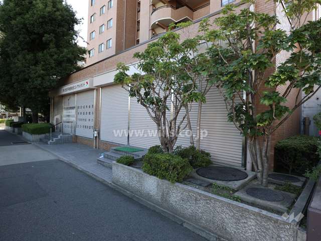 敷地内の各所に植栽スペースが設けられています。