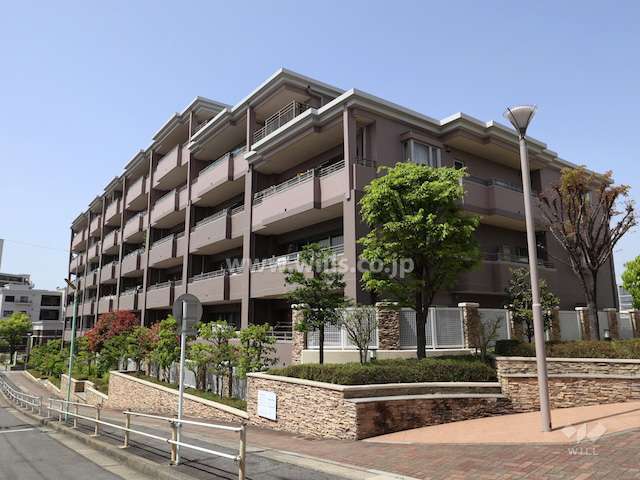 星ヶ丘アインスの外観（東側から）