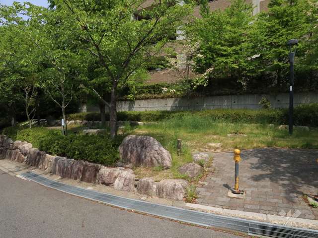 敷地内の各所に植栽スペースが設けられています。