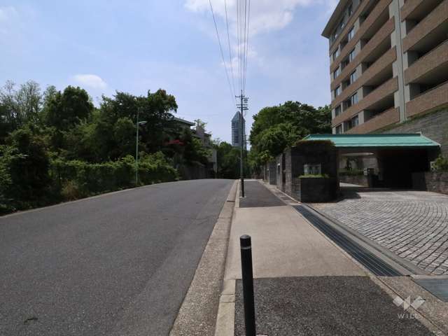敷地南側の前面道路