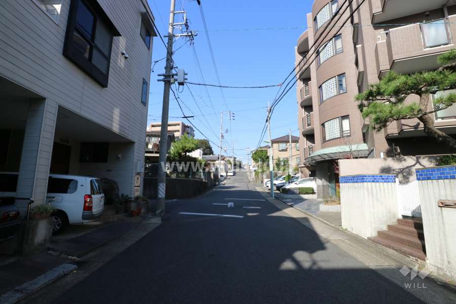 敷地西側の前面道路（南側から）