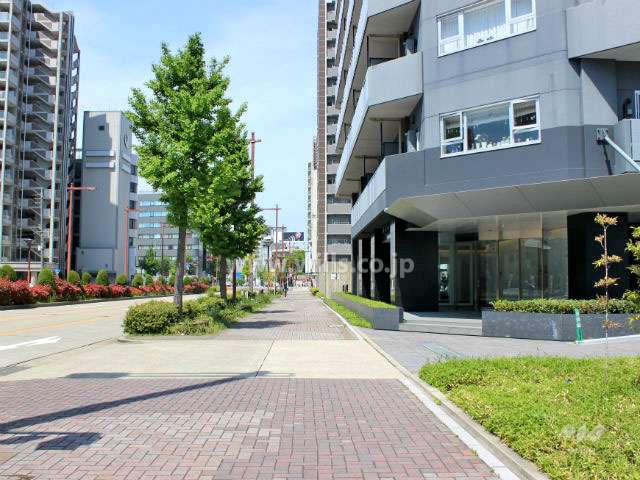 敷地南側の前面道路。片側三車線の広い道路です。