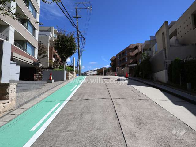 敷地南側の前面道路(西側から)