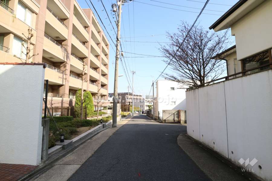 敷地南側の前面道路（西側から）