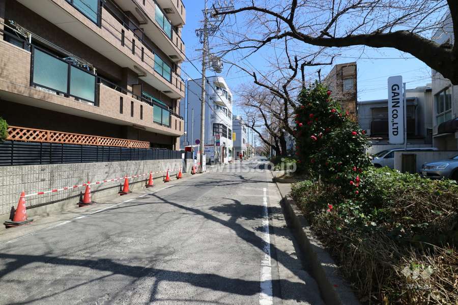 敷地南側の前面道路