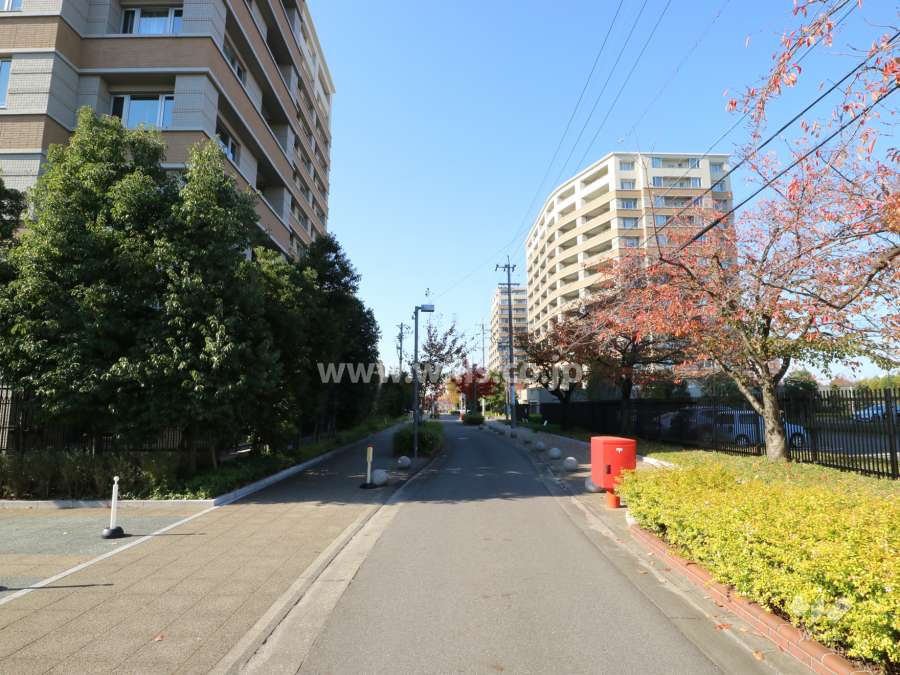 敷地北側前面道路